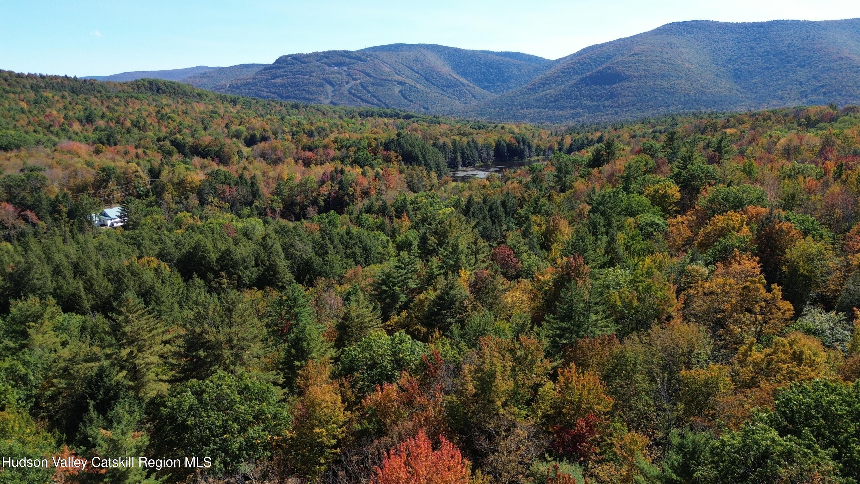 0 Ford Hill Road Hunter, NY 12442 - Photo 23 of 23 DJI_0447