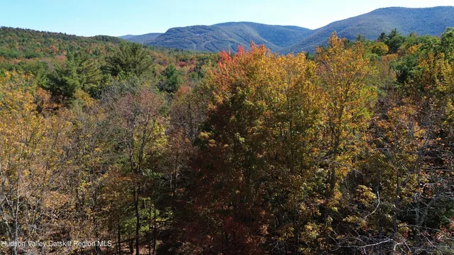 $499,000 | 0 Ford Hill Road, Hunter, NY 12442