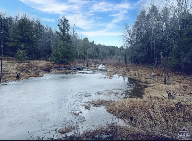 $499,000 | 0 Ford Hill Road, Hunter, NY 12442