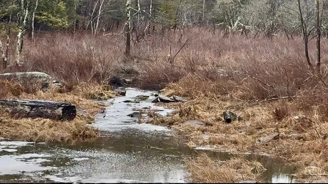 $499,000 | 0 Ford Hill Road, Hunter, NY 12442