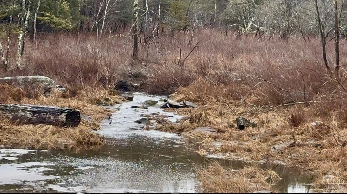 0 Ford Hill Road Hunter, NY 12442 - Photo 9 of 23 Photo 6