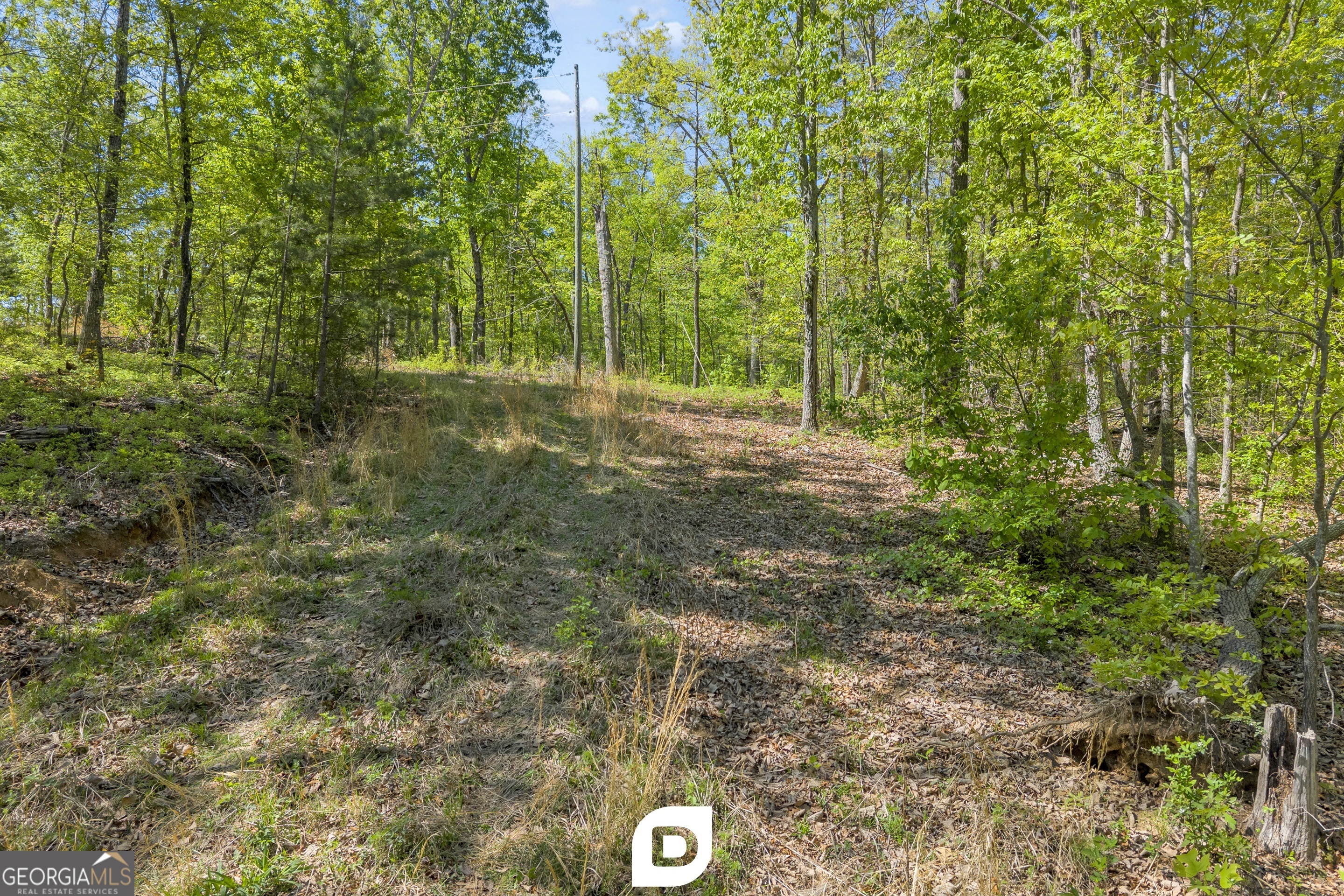 0 Anderson Road Toccoa, GA 30577 - Photo 11 of 14