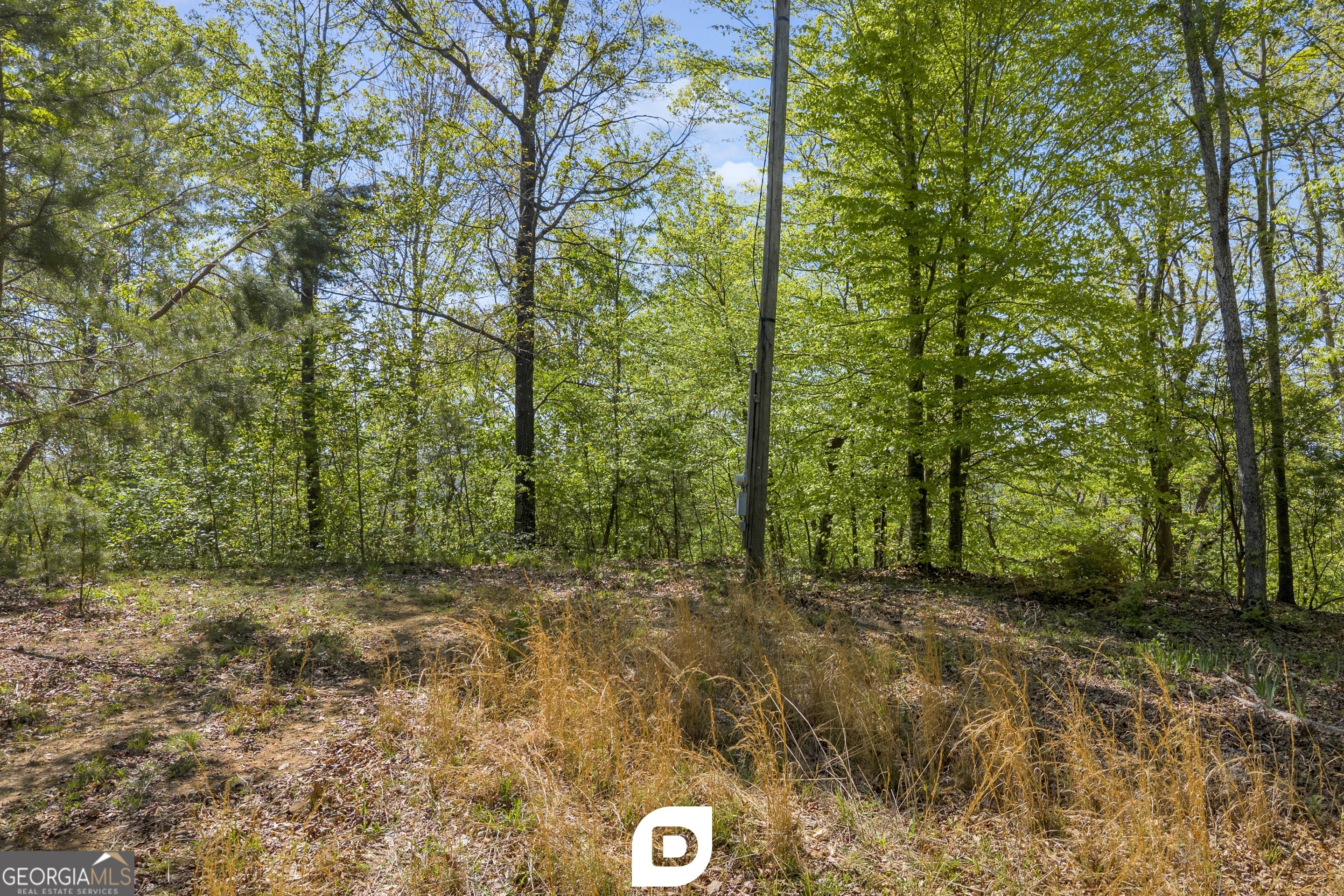 0 Anderson Road Toccoa, GA 30577 - Photo 12 of 14