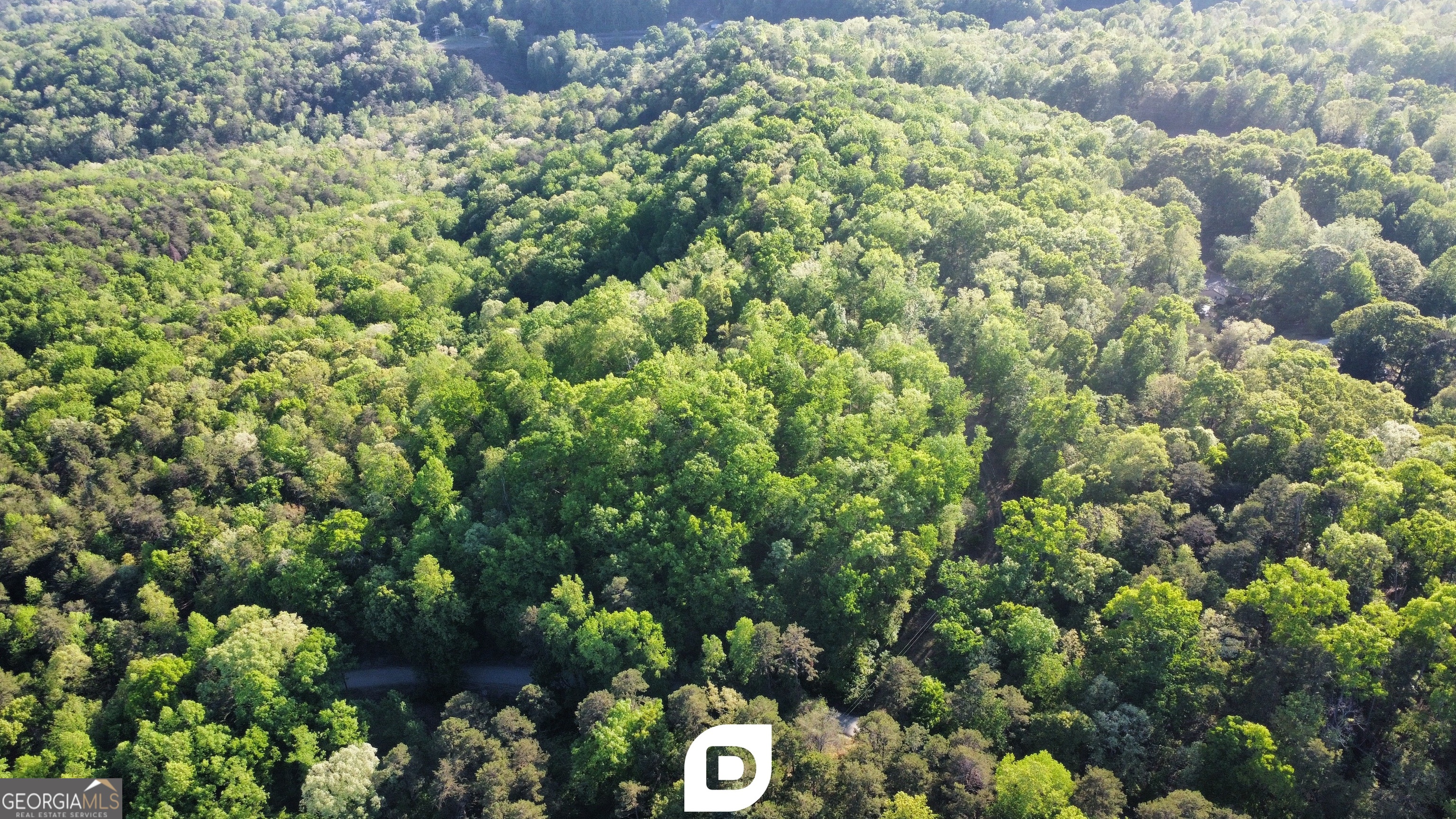 0 Anderson Road Toccoa, GA 30577 - Photo 13 of 14