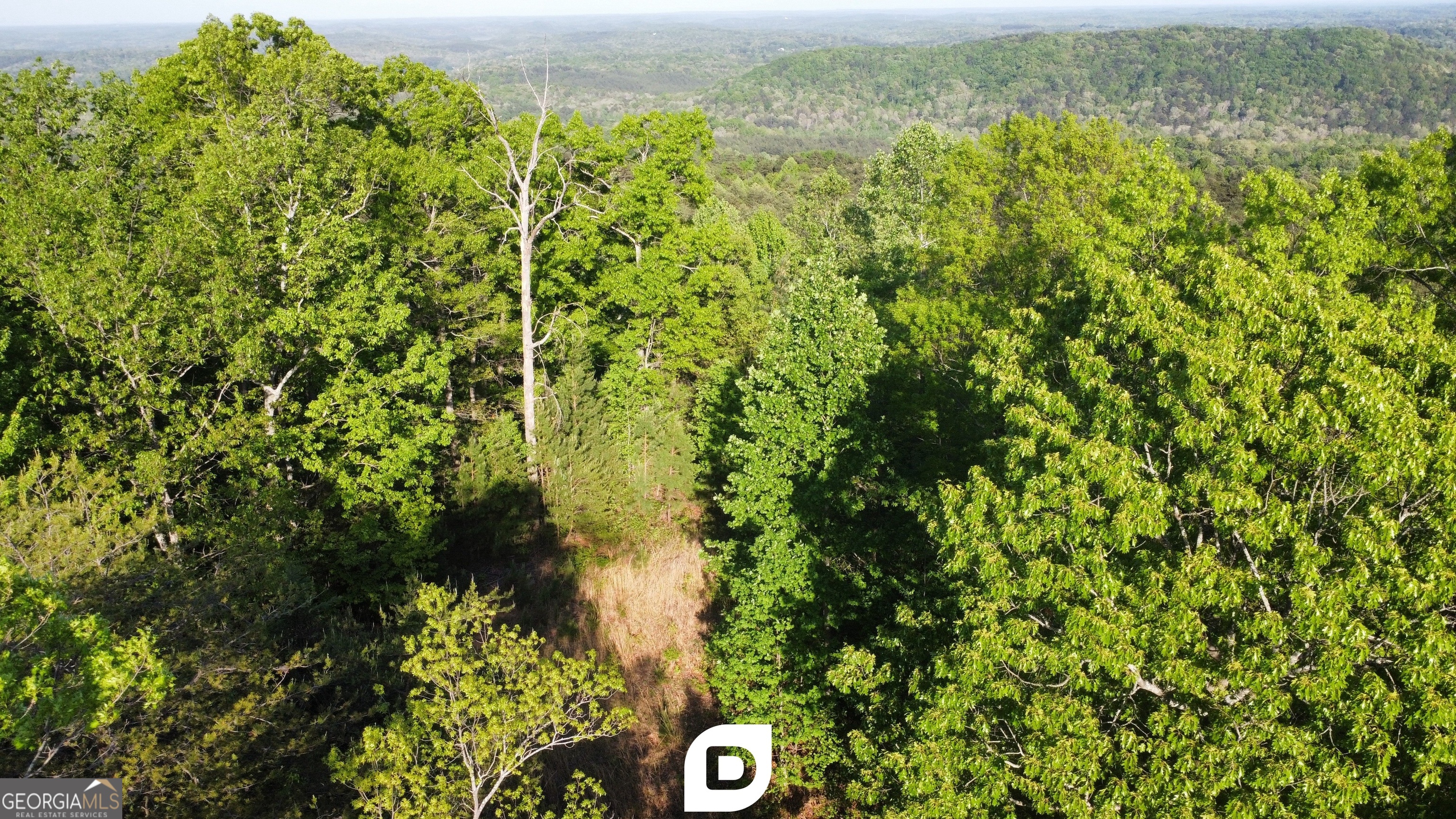 0 Anderson Road Toccoa, GA 30577 - Photo 4 of 14