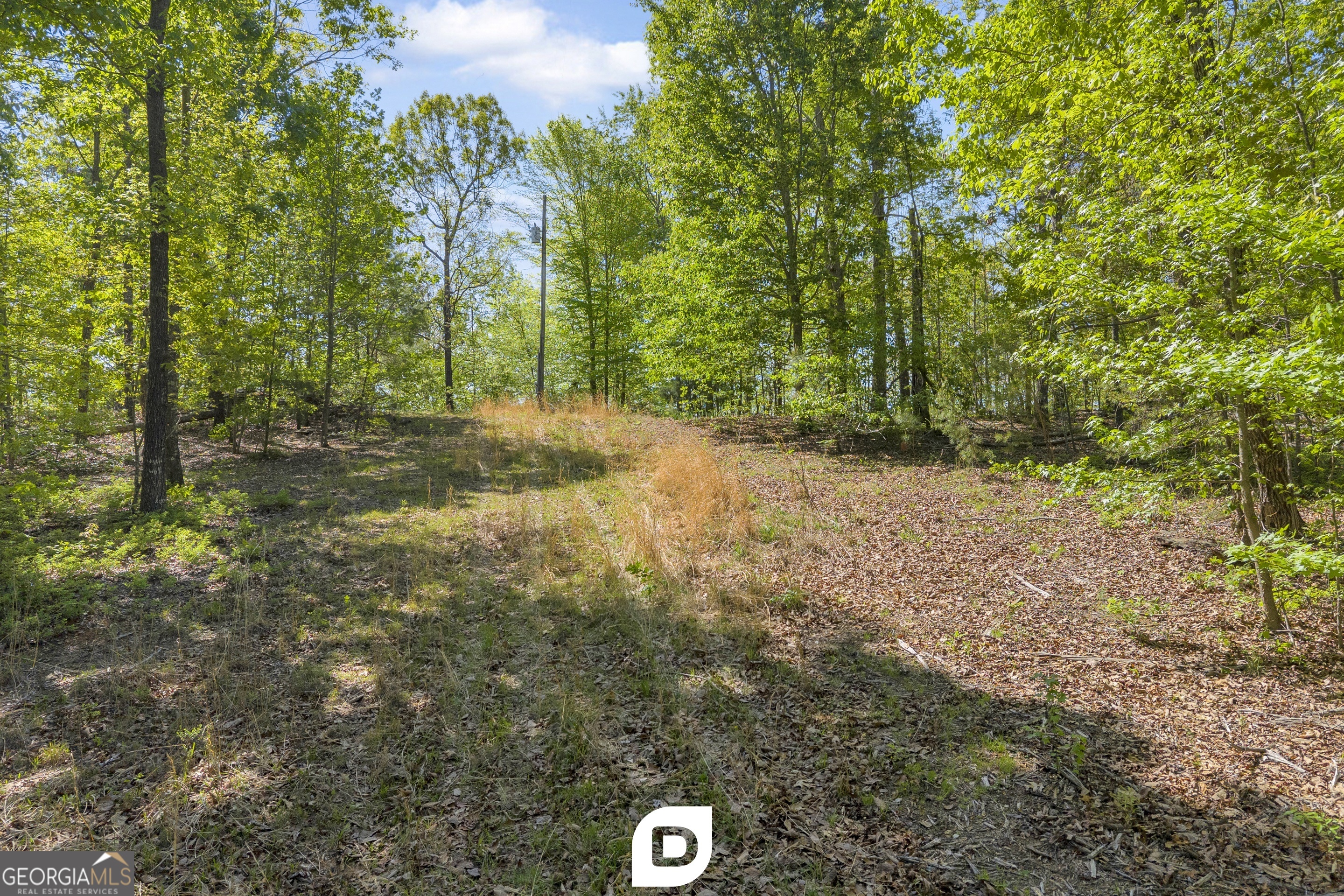 0 Anderson Road Toccoa, GA 30577 - Photo 5 of 14