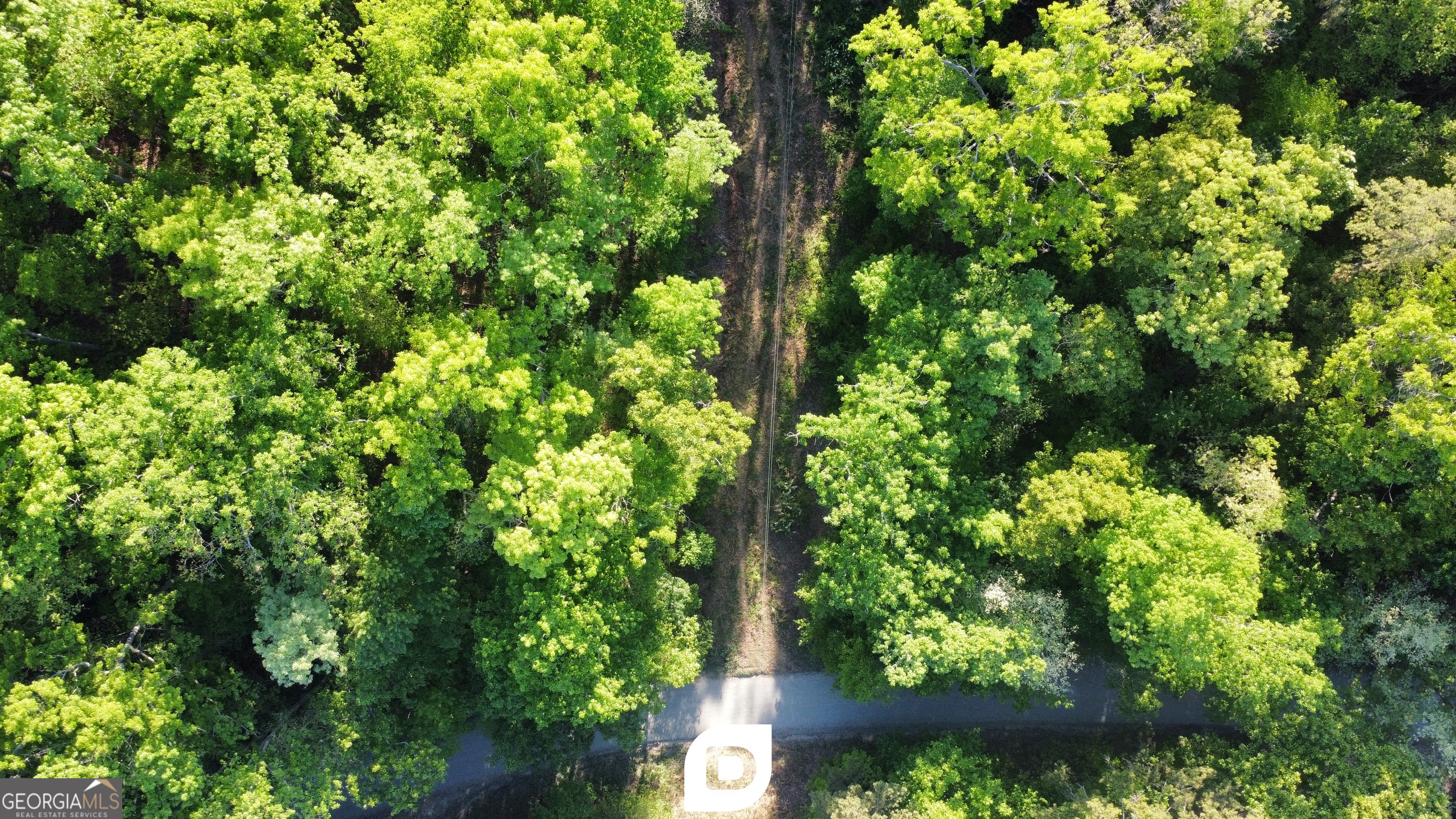 0 Anderson Road Toccoa, GA 30577 - Photo 6 of 14