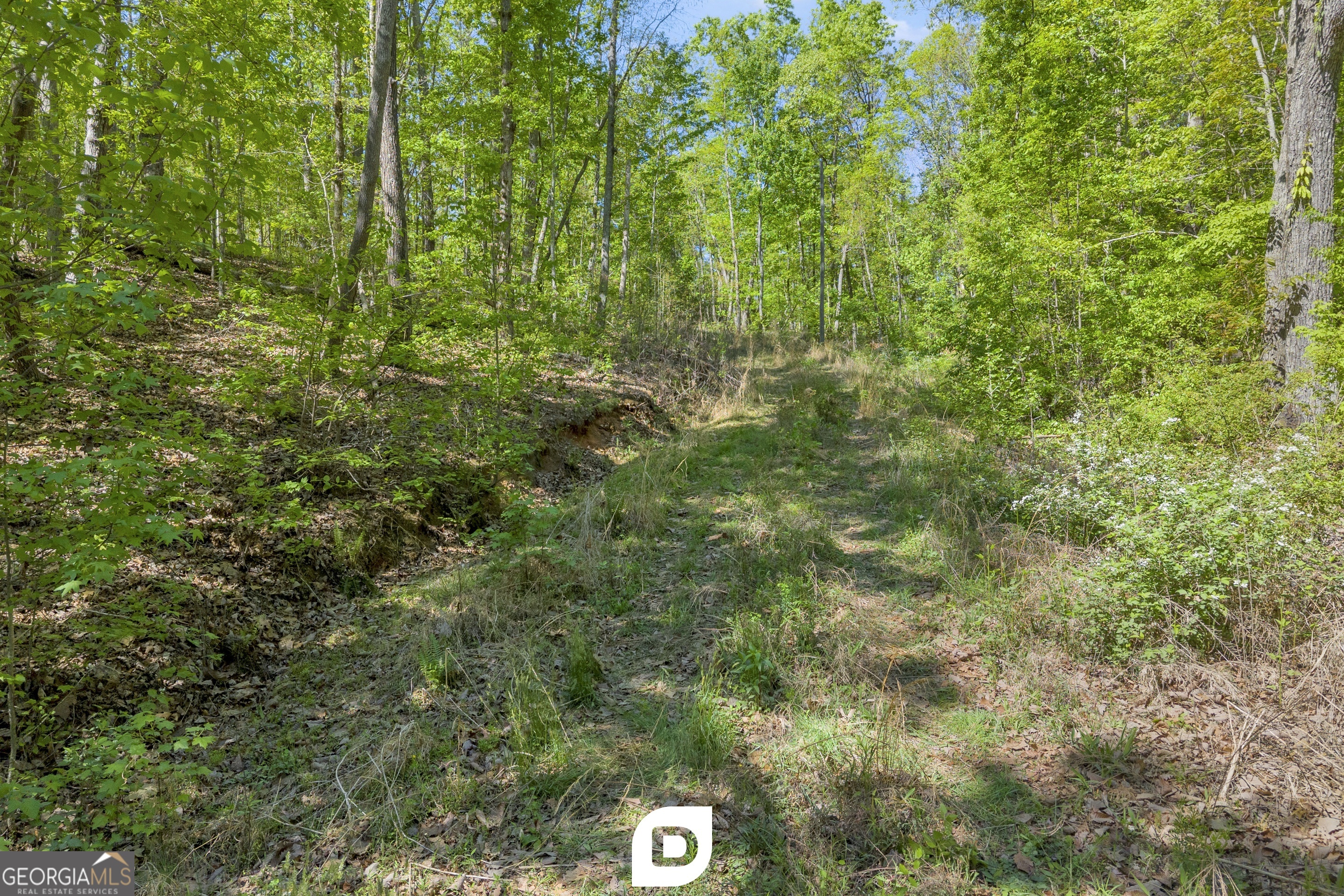 0 Anderson Road Toccoa, GA 30577 - Photo 7 of 14