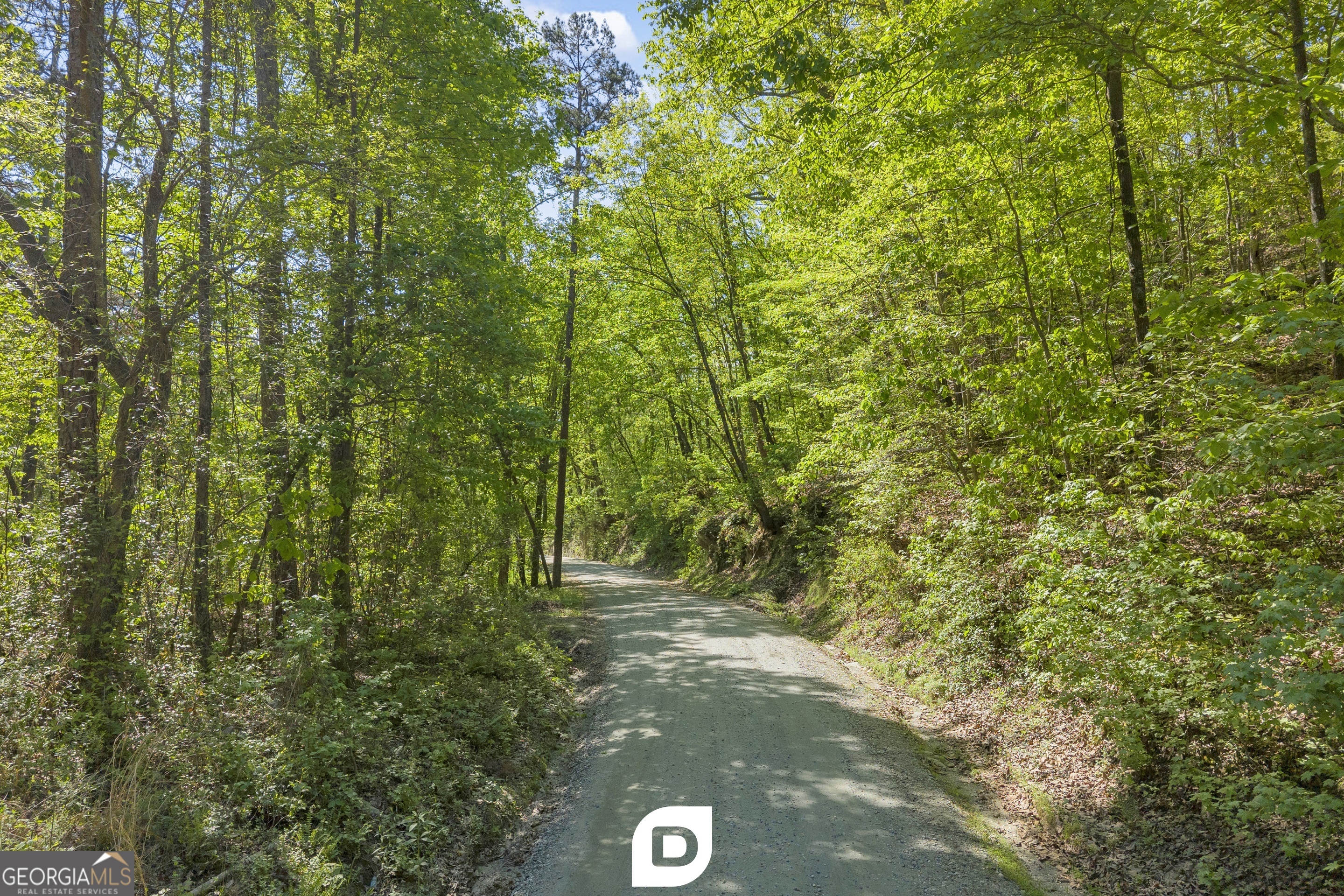 0 Anderson Road Toccoa, GA 30577 - Photo 8 of 14