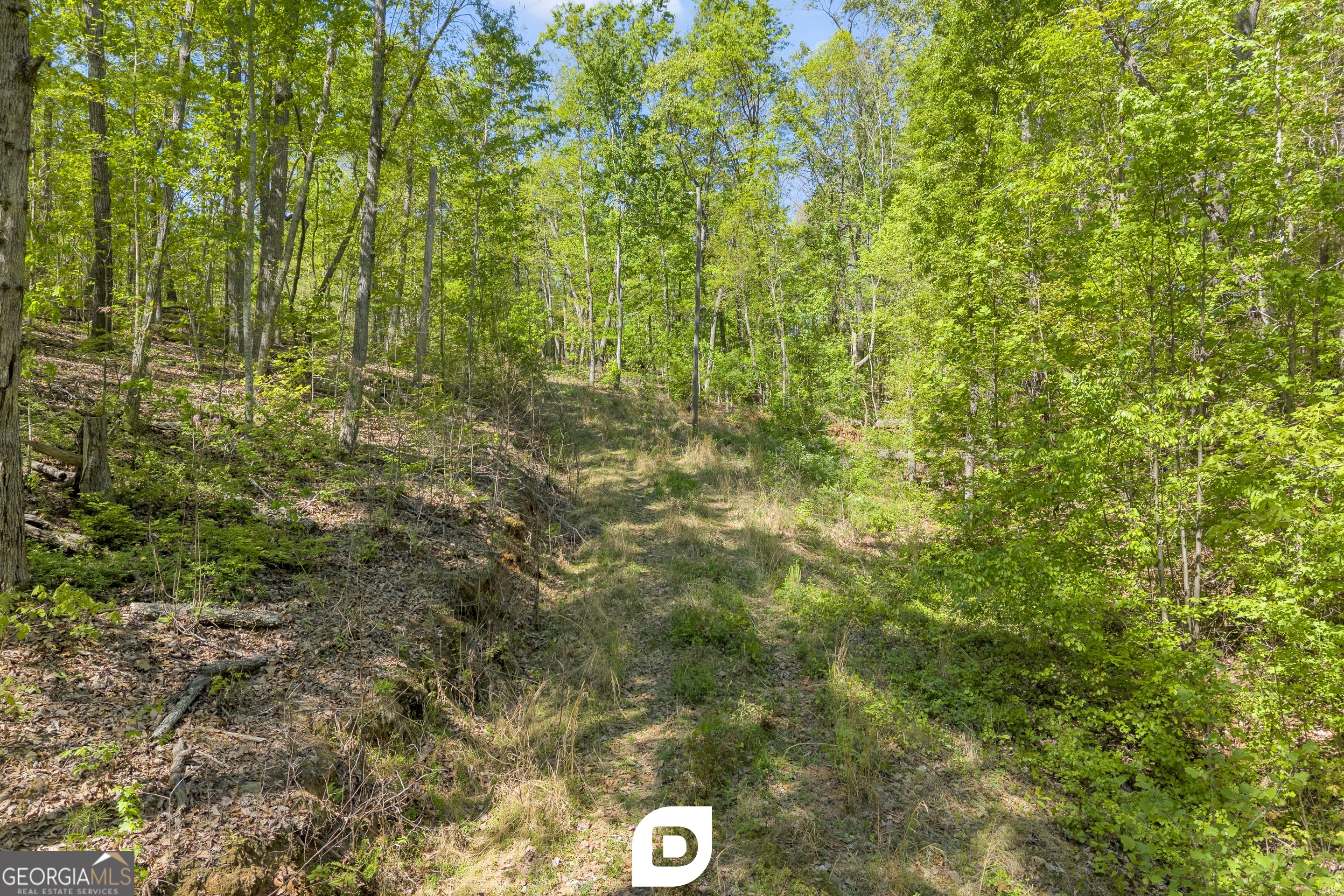 0 Anderson Road Toccoa, GA 30577 - Photo 9 of 14