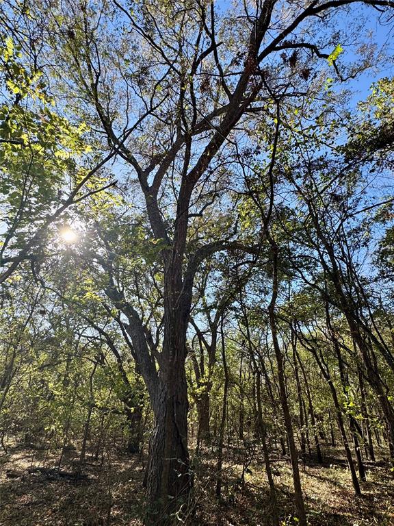 14951 County Road 622 Blue Ridge, TX 75424 - Photo 35 of 40