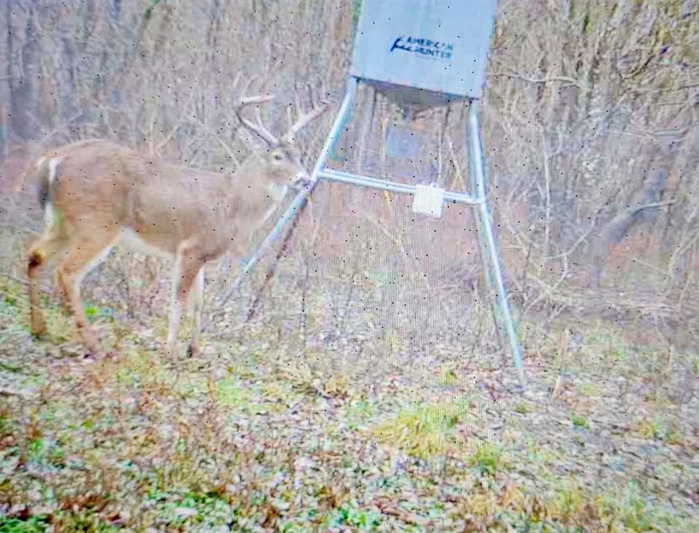 14951 County Road 622 Blue Ridge, TX 75424 - Photo 37 of 40