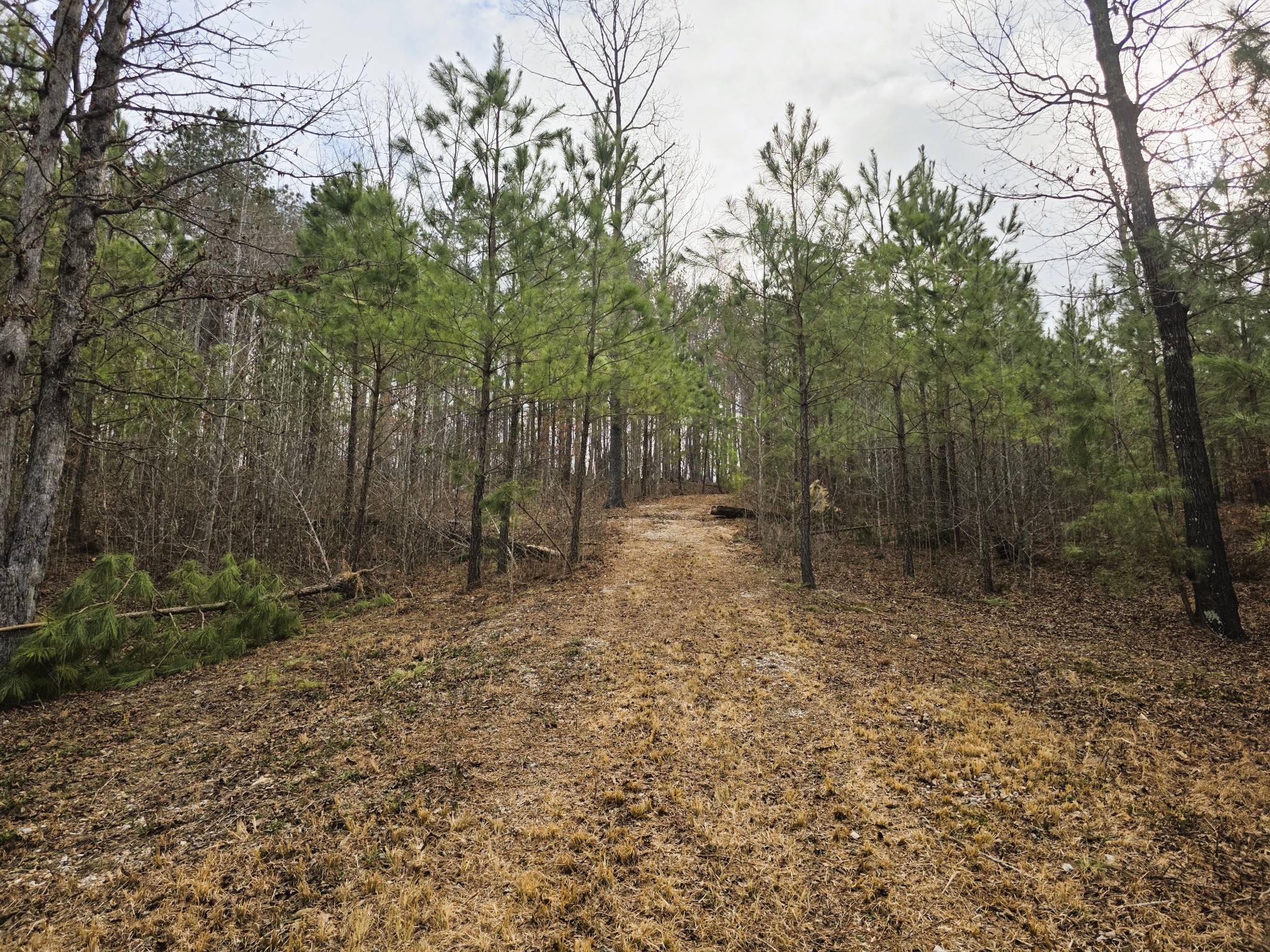 0 Birdsong Road Holladay, TN 38341 - Photo 62 of 70