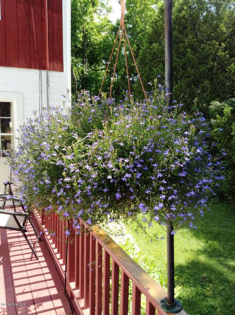 1475 Savoy Road Windsor, MA 01270 - Photo 12 of 61 Looking like summer now Savoy Rd Windsor
