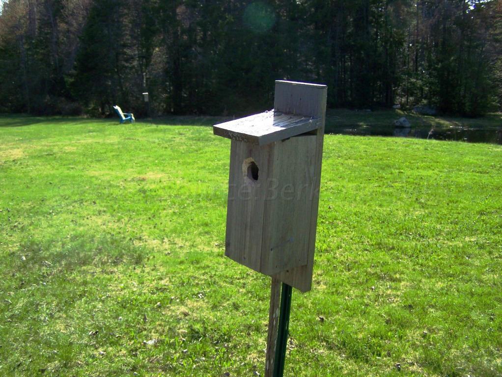 1475 Savoy Road Windsor, MA 01270 - Photo 15 of 61 a backyard of a house with lots of green space and garden