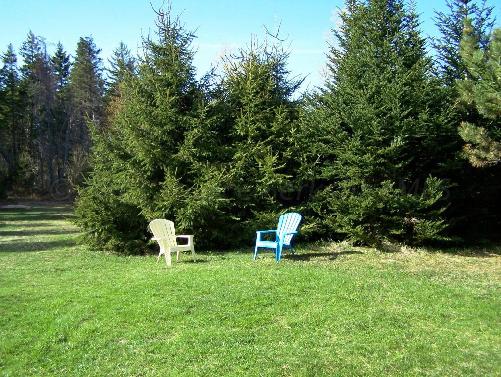 1475 Savoy Road Windsor, MA 01270 - Photo 18 of 61 a view of a garden with a bench