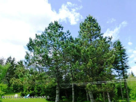 1475 Savoy Road Windsor, MA 01270 - Photo 22 of 61 a view of a yard