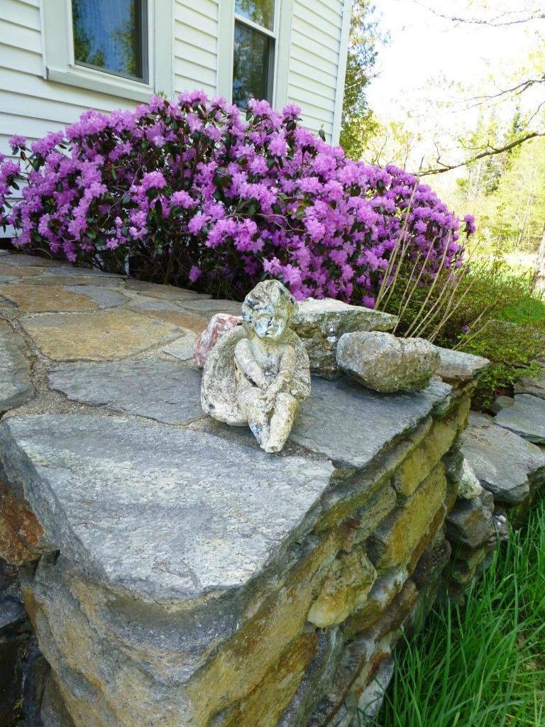1475 Savoy Road Windsor, MA 01270 - Photo 8 of 61 a view of a wooden bench in front of a house