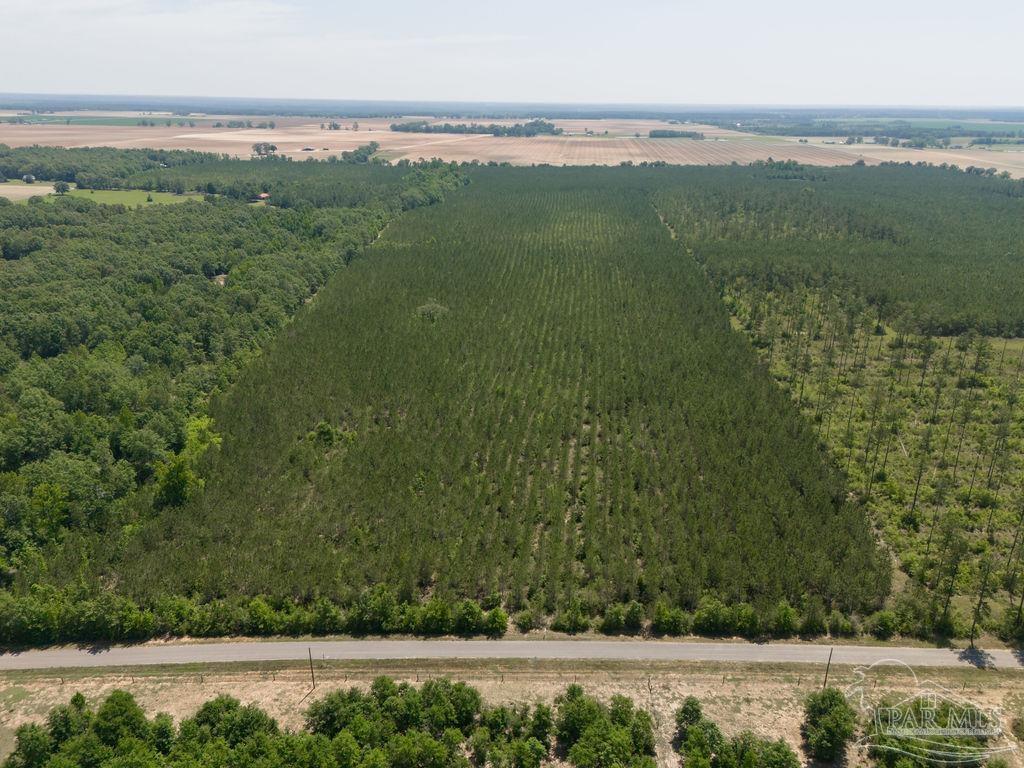 Lot 7 Bud Diamond Road Jay, FL 32565 - Photo 1 of 21
