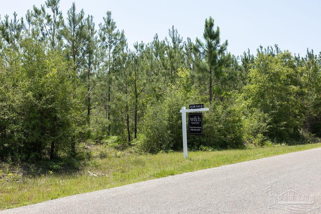Lot 7 Bud Diamond Road Jay, FL 32565 - Photo 20 of 21