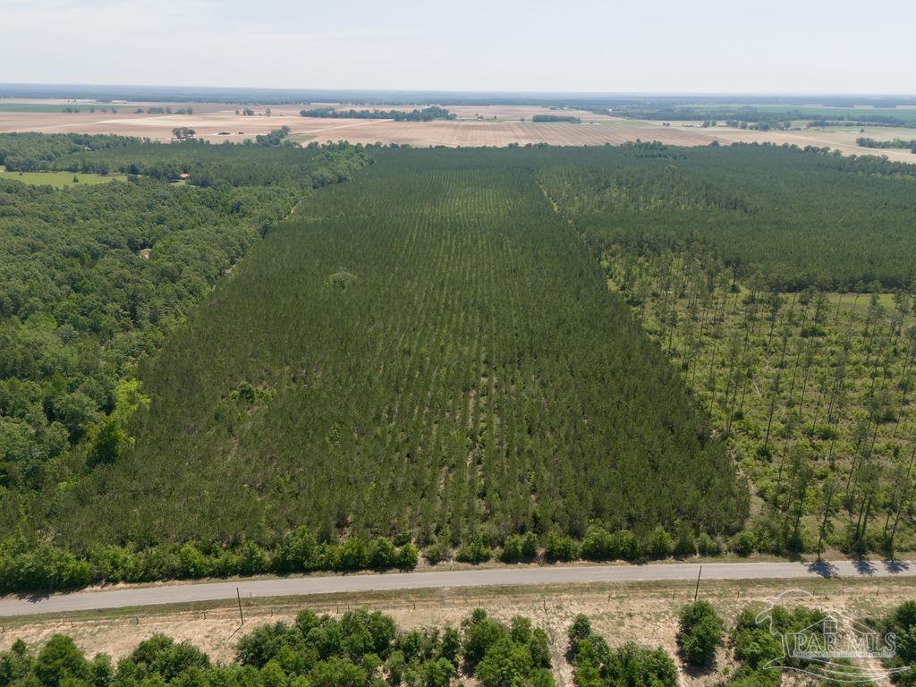 Lot 7 Bud Diamond Road Jay, FL 32565 - Photo 21 of 21