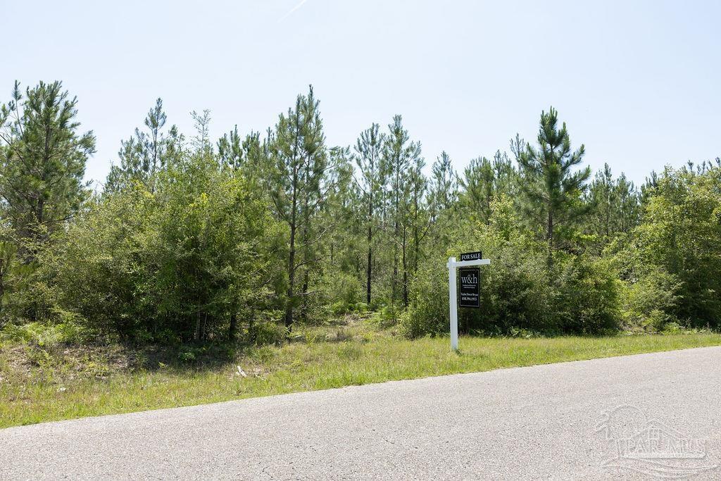 Lot 7 Bud Diamond Road Jay, FL 32565 - Photo 8 of 21