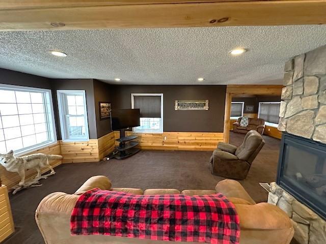 1344 385th Avenue Boyd, MN 56218 - Photo 11 of 30