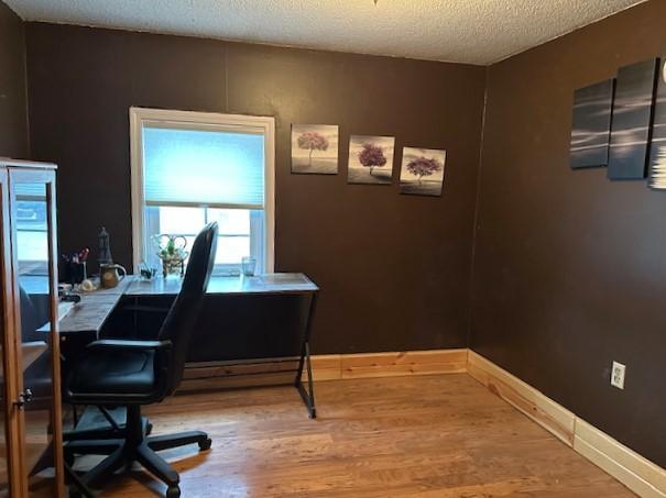 1344 385th Avenue Boyd, MN 56218 - Photo 25 of 30