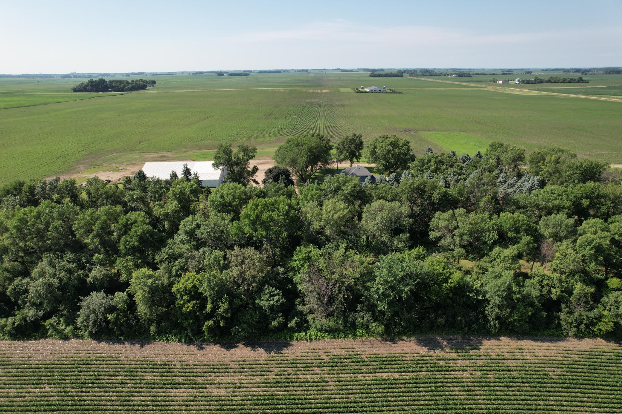 1344 385th Avenue Boyd, MN 56218 - Photo 7 of 30