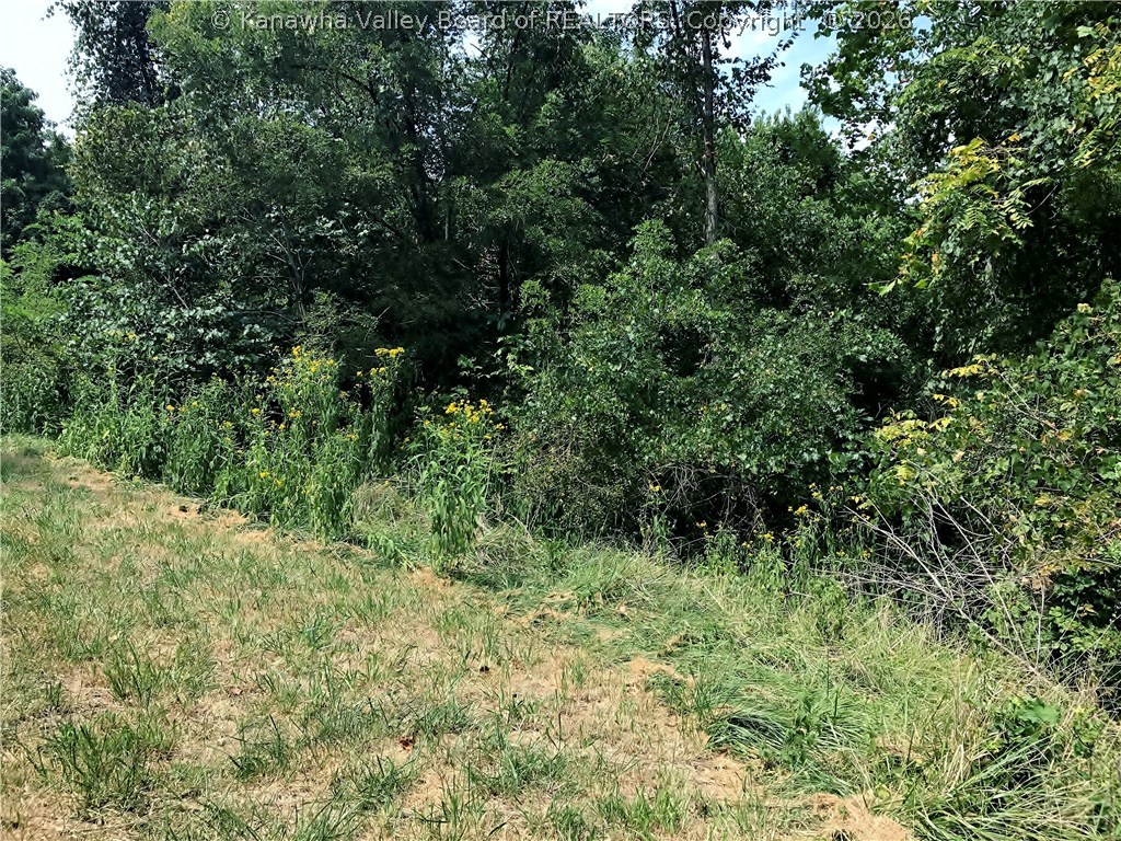 20019 Graham Station Road Letart, WV 25253 - Photo 3 of 3 Gallery Image 3