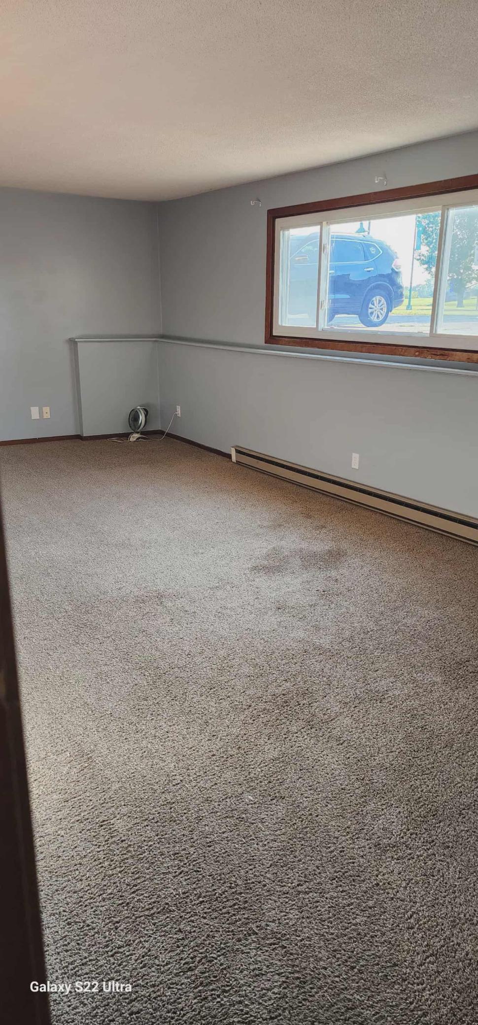 102 Lake Avenue South, Unit 4 Spicer, MN 56288 - Photo 5 of 9