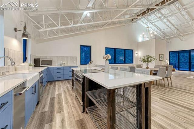 1282 South Crystal Road Lake George, CO 80827 - Photo 16 of 19 Kitchen featuring blue cabinets, stainless steel appliances, light wood-style flooring, a chandelier, and high vaulted ceiling