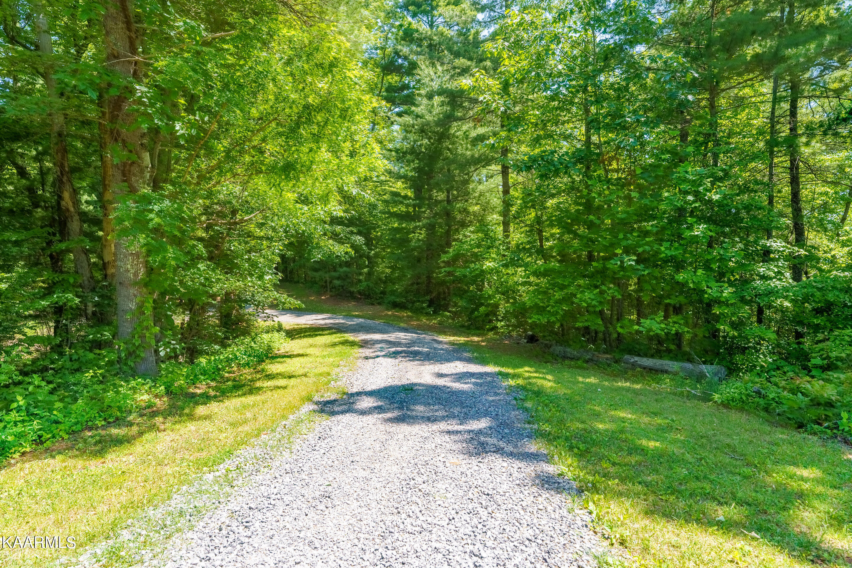 Hollow Road Del Rio, TN 37727 - Photo 1 of 9 1