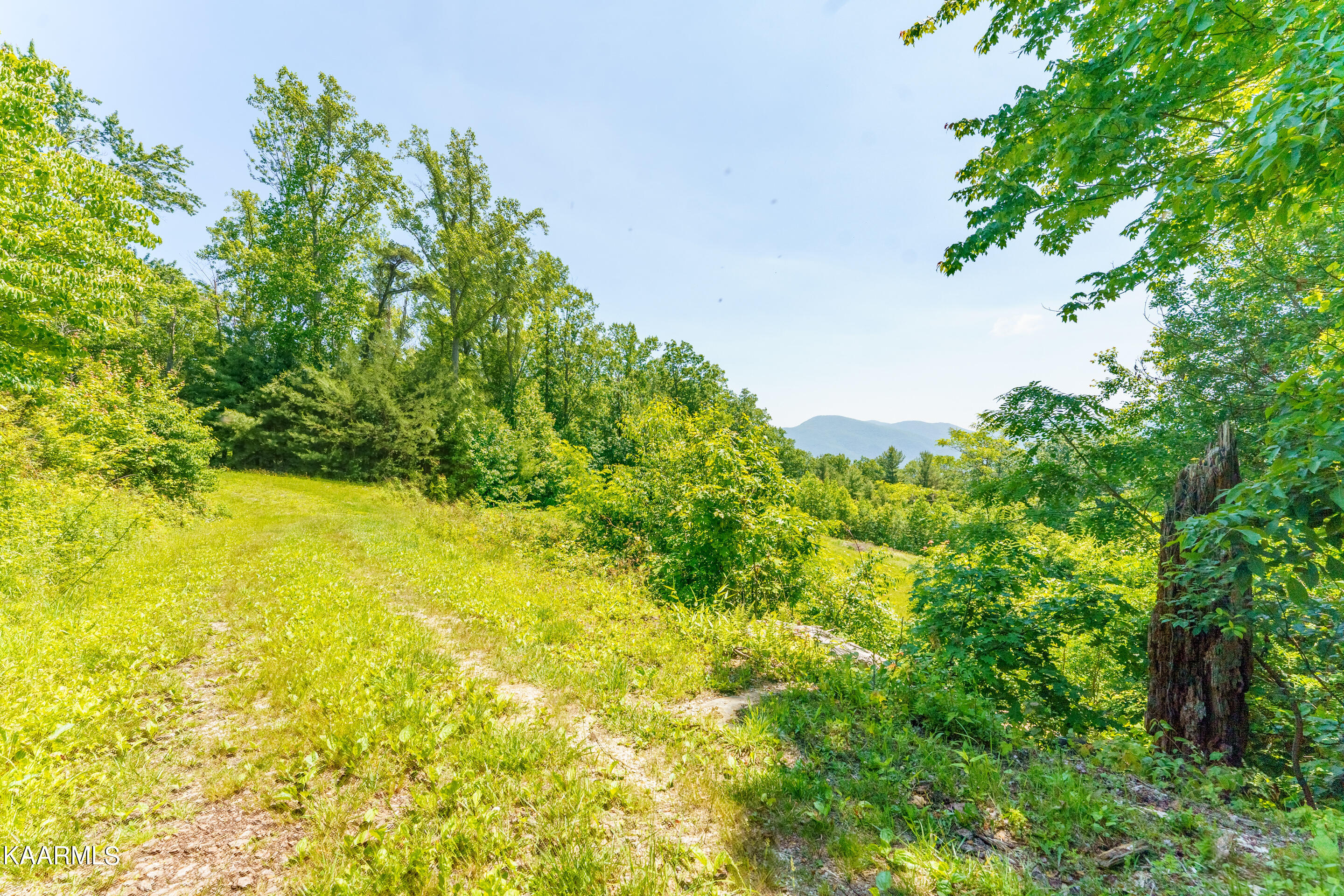 Hollow Road Del Rio, TN 37727 - Photo 2 of 9 2