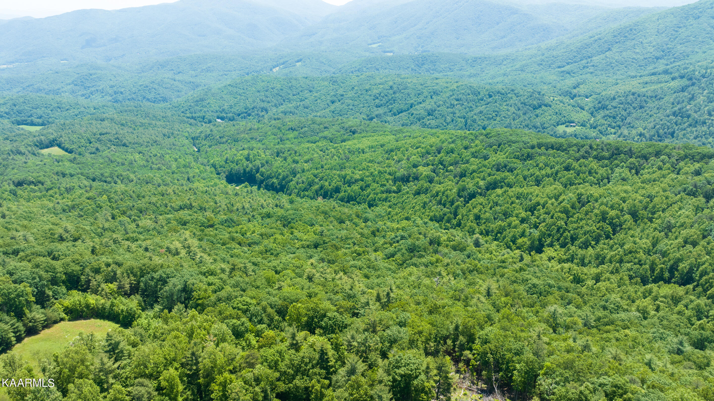 Hollow Road Del Rio, TN 37727 - Photo 4 of 9 4