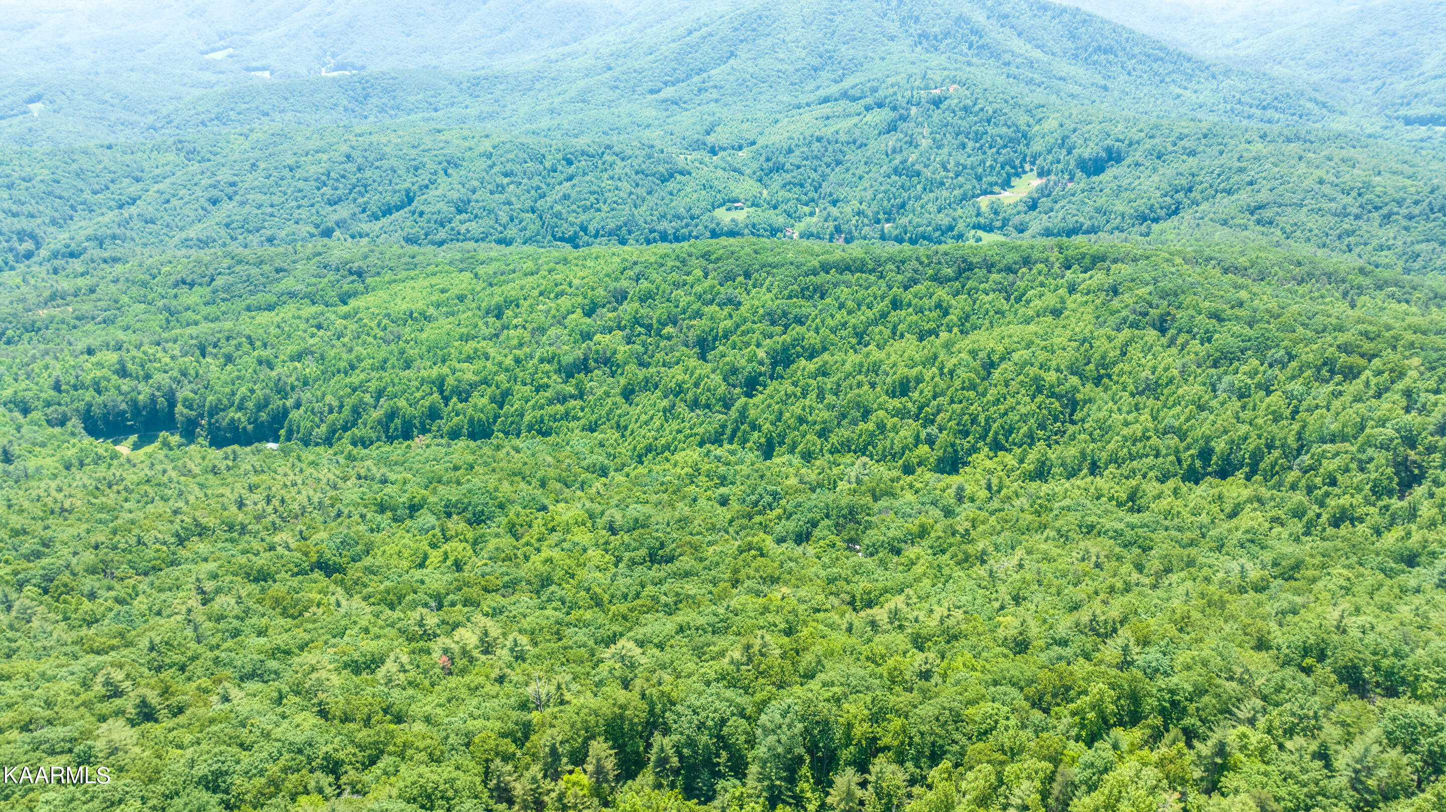 Hollow Road Del Rio, TN 37727 - Photo 6 of 9 6