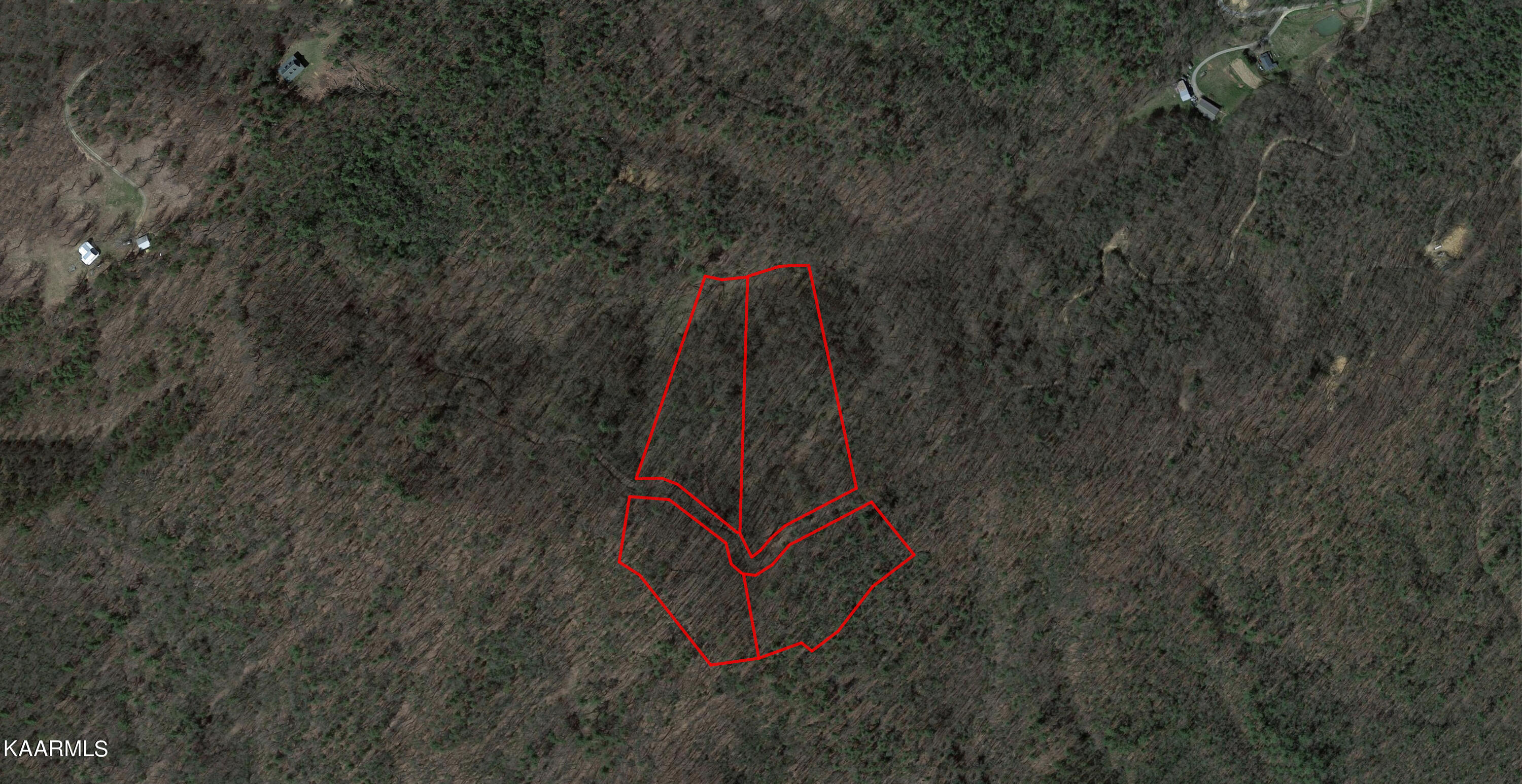 Hollow Road Del Rio, TN 37727 - Photo 9 of 9 9