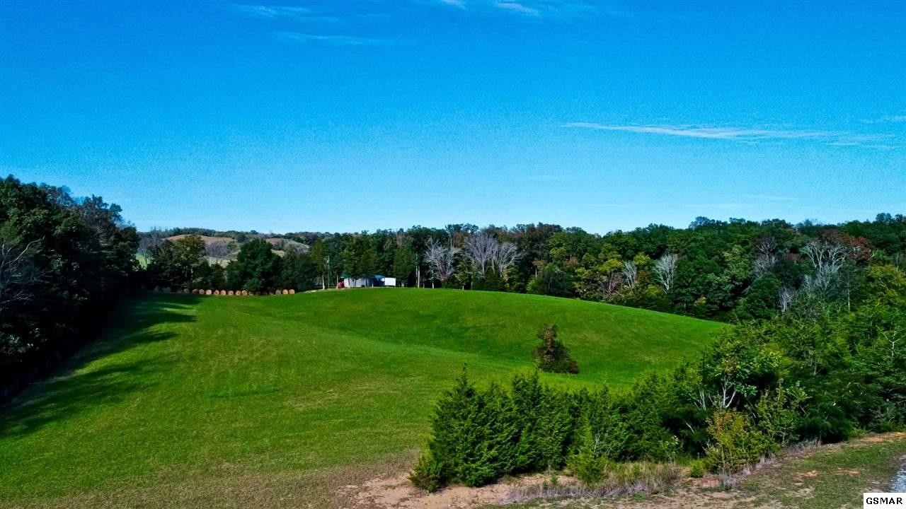 848 Joe Reed Road Bybee, TN 37713 - Photo 2 of 20 Gallery Image 2
