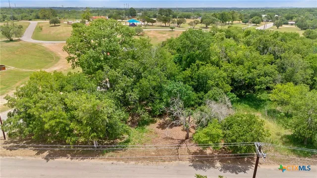 an aerial view of residential houses with outdoor space and trees