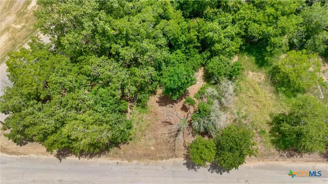 an aerial view of a forest with houses