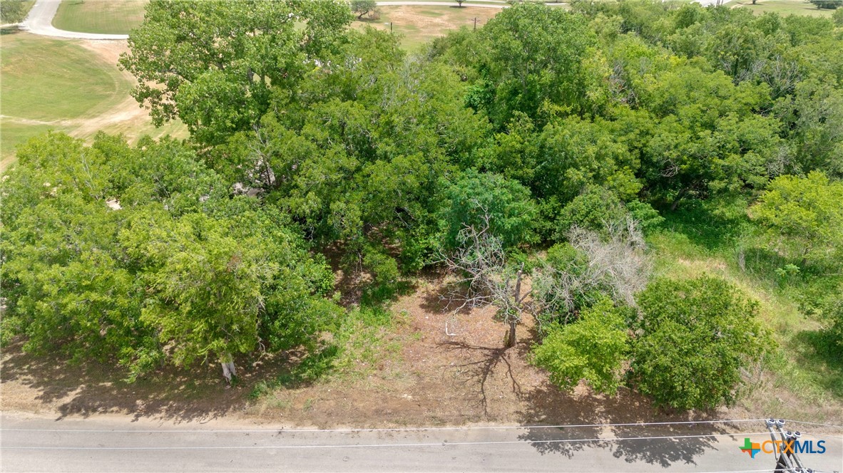 1140 North Hackberry Avenue Luling, TX 78648 - Photo 20 of 20 a view of a yard