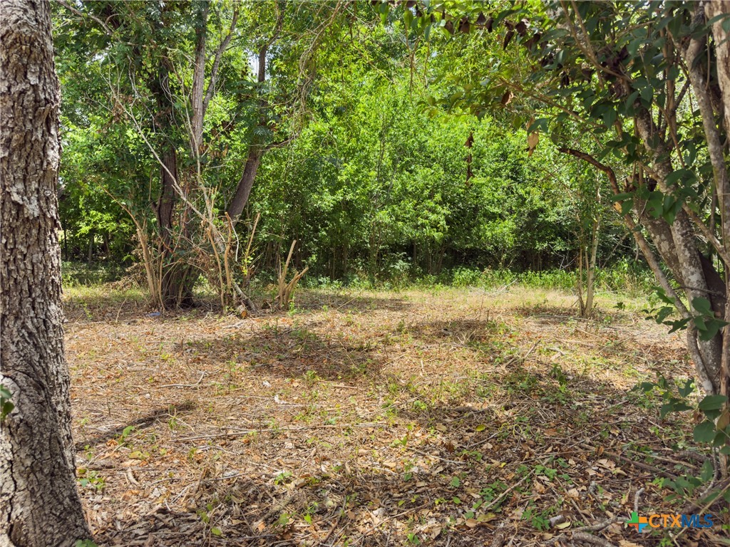 1140 North Hackberry Avenue Luling, TX 78648 - Photo 2 of 20 a view of a yard with plants