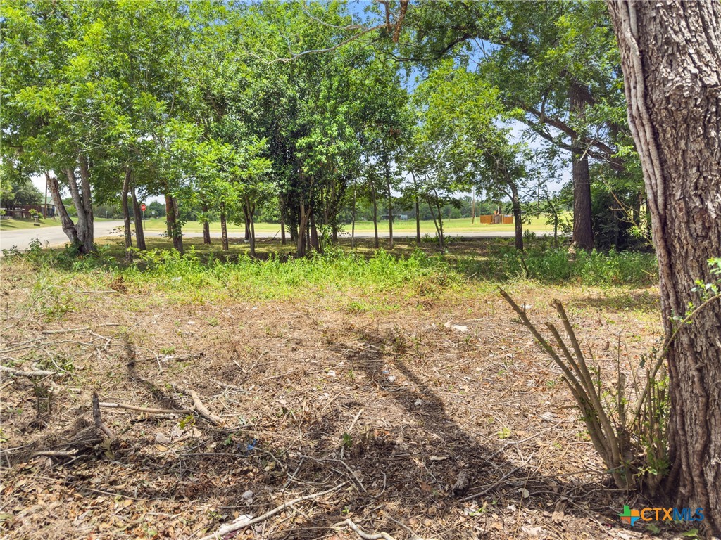 1140 North Hackberry Avenue Luling, TX 78648 - Photo 3 of 20 a view of backyard with tree