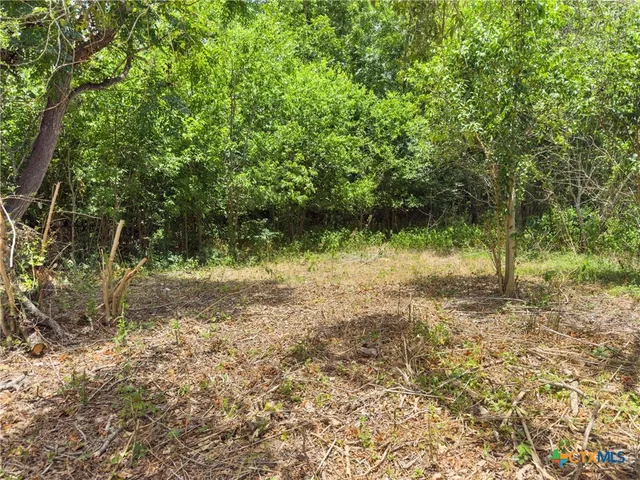 a view of a yard with a tree