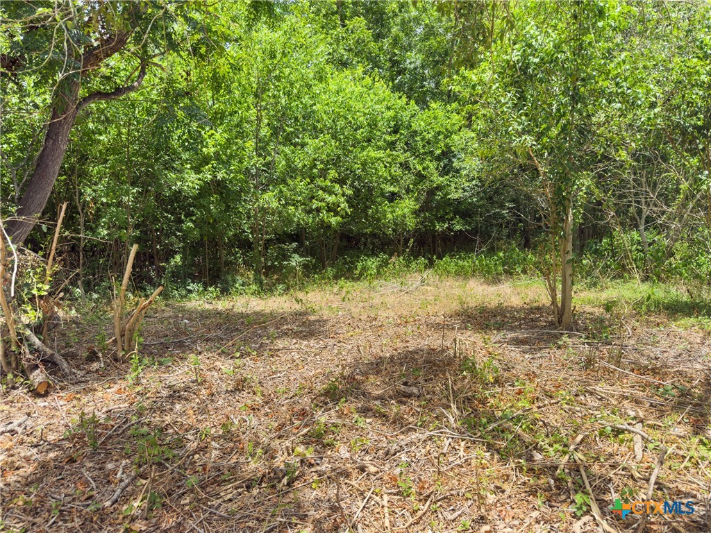 1140 North Hackberry Avenue Luling, TX 78648 - Photo 4 of 20 a view of a yard with a tree