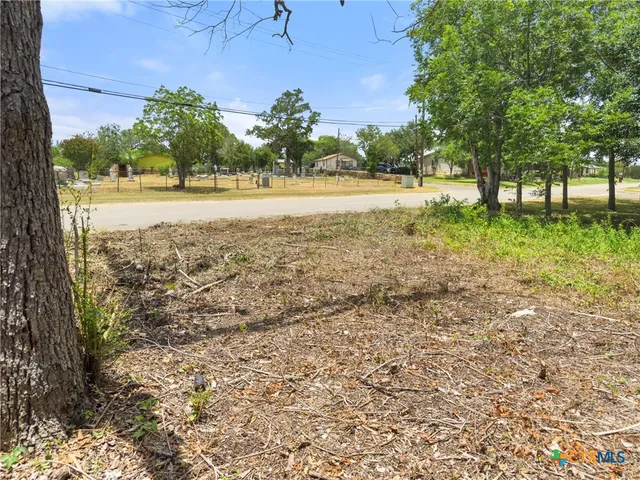 a view of a yard with a tree