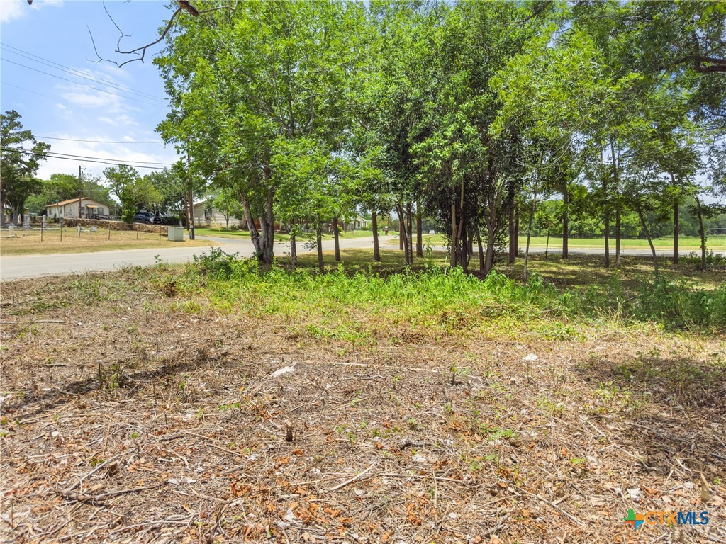 1140 North Hackberry Avenue Luling, TX 78648 - Photo 6 of 20 a view of a tree in a yard