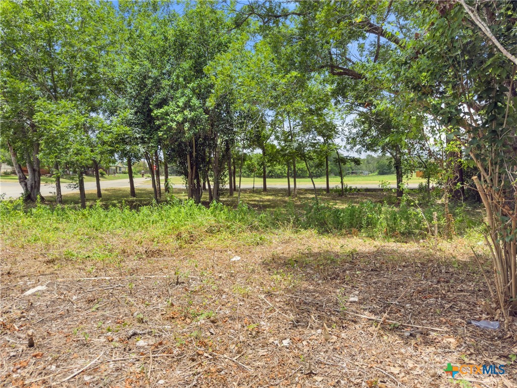 1140 North Hackberry Avenue Luling, TX 78648 - Photo 7 of 20 a view of backyard with green space