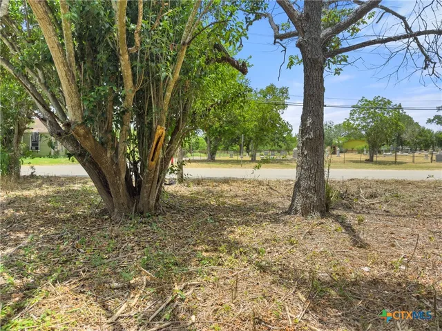 a view of dirt yard with a tree