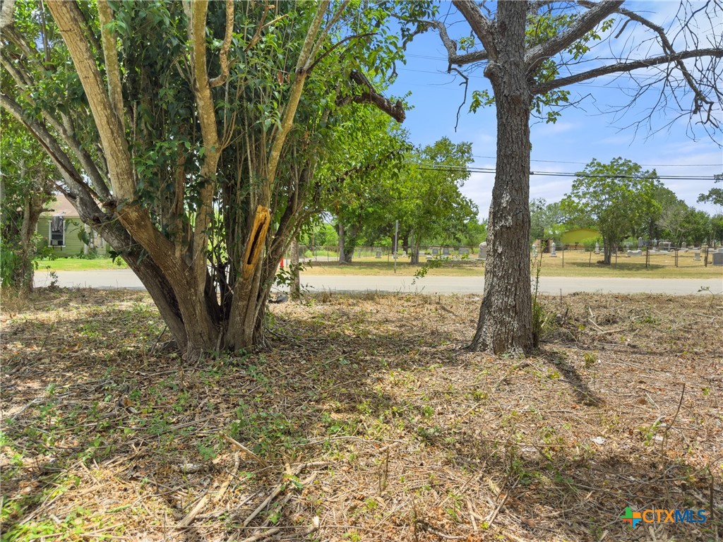 1140 North Hackberry Avenue Luling, TX 78648 - Photo 8 of 20 a view of dirt yard with a tree